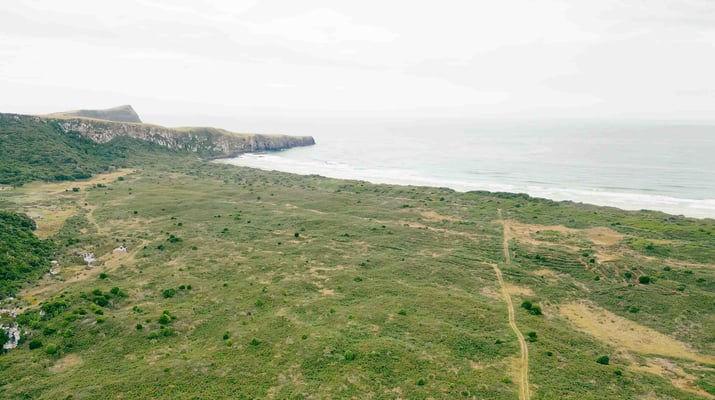 Okia Reserve, Nouvelle-Zélande
