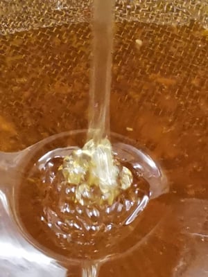 Miel de Nouvelle-Zélande coulant telle une cascade d'or à déguster