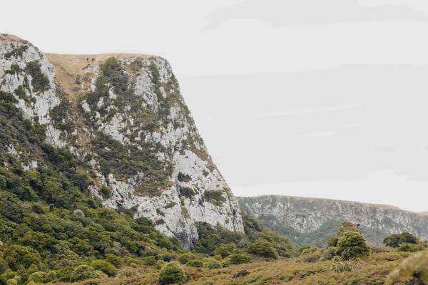 Okia Reserve, Nouvelle-Zélande