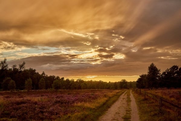 Hof Höpen Bilder von Christopher Thiele