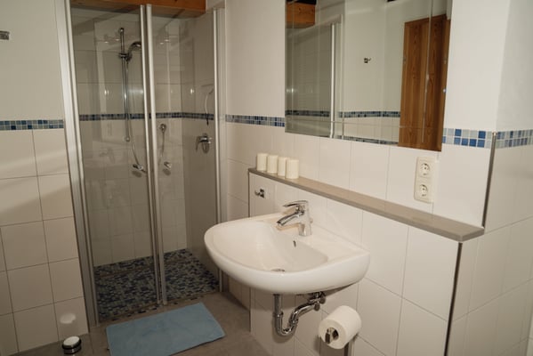 Blick in das Duschbad aus einer anderen Perspektive. 