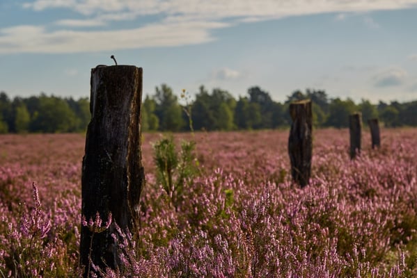 Hof Höpen Bilder von Christopher Thiele