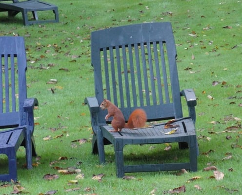 Schöne Schnappschüsse