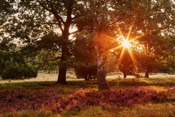 Hof Höpen Bilder von Christopher Thiele