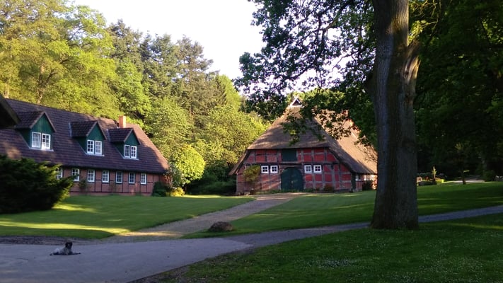 Gegen Abend spendet der große Baumbestand angenehmen Schatten. 
