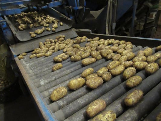 Sorgfältig sortiert