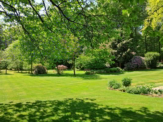 Der Mai auf Hof Höpen - wenn das Grün am Schönsten ist.