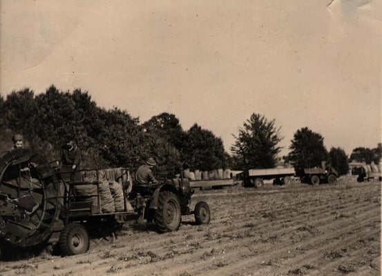 Historisches Foto mit Ackerbau auf den Ländereien des Hof Höpen.