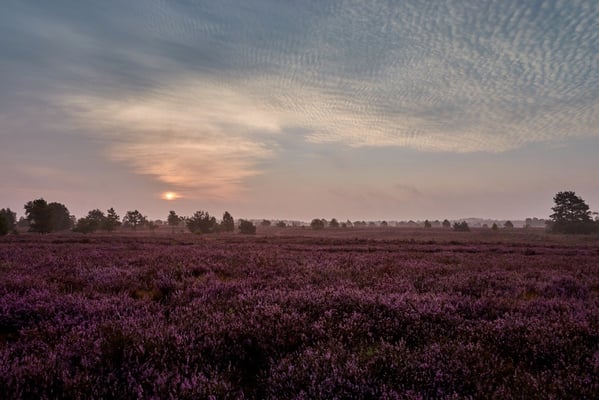 Hof Höpen Bilder von Christopher Thiele