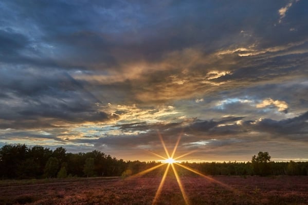 Hof Höpen Bilder von Christopher Thiele