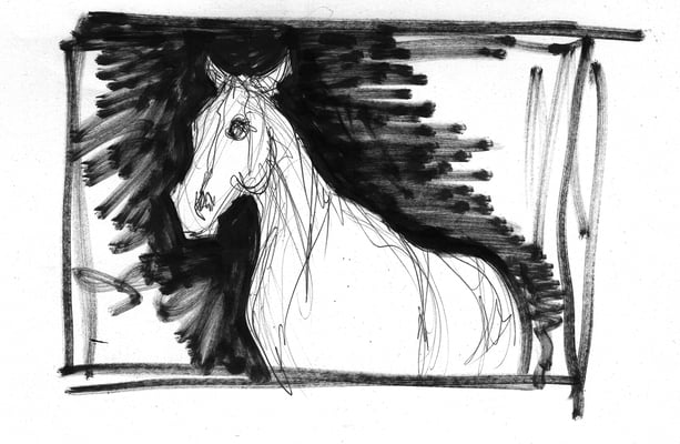 Etude pour spectacle equestre, Pagnozoo