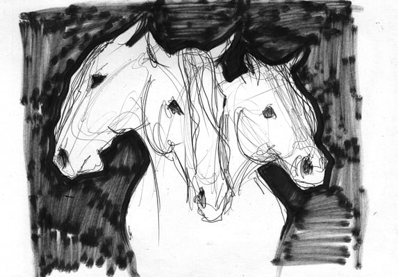 Etude pour spectacle equestre, Pagnozoo