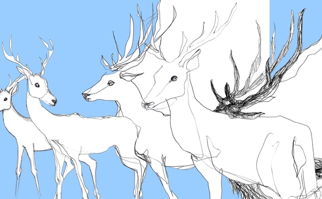 Composition légère fond bleu