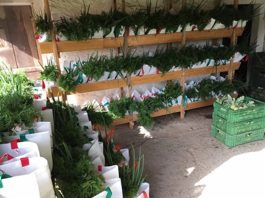 Gemüseabos von SOLAWI Erlengut werden direkt in die Freistatt geliefert!