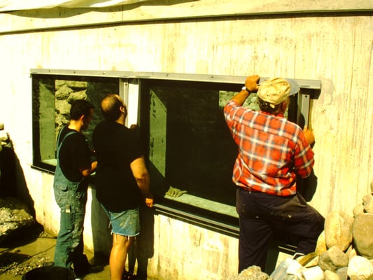 Scheibeneinbau der Unterwasserwelt