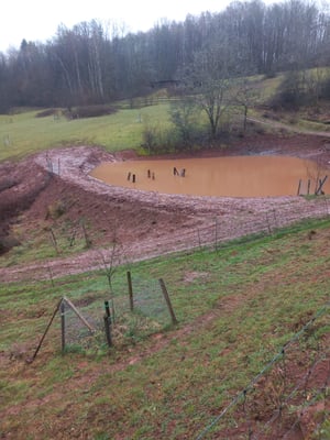 Die Teichsanierung ist gelungen