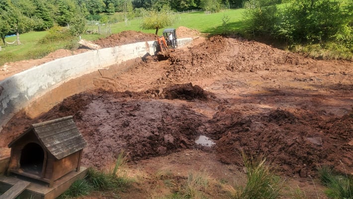 Die gesamte Schlacke wurde ebenfalls ausgebaggert. Der Teich war noch knapp einen Meter tief.
