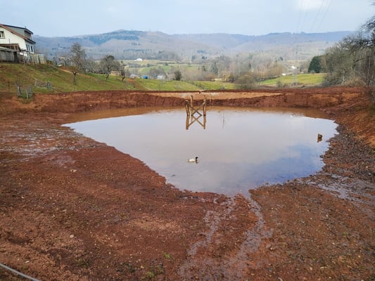 Ja, der Teich füllt sich.