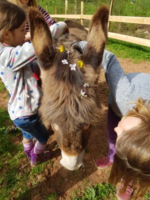 Hübsch, hübscher, am hübschsten🙄
