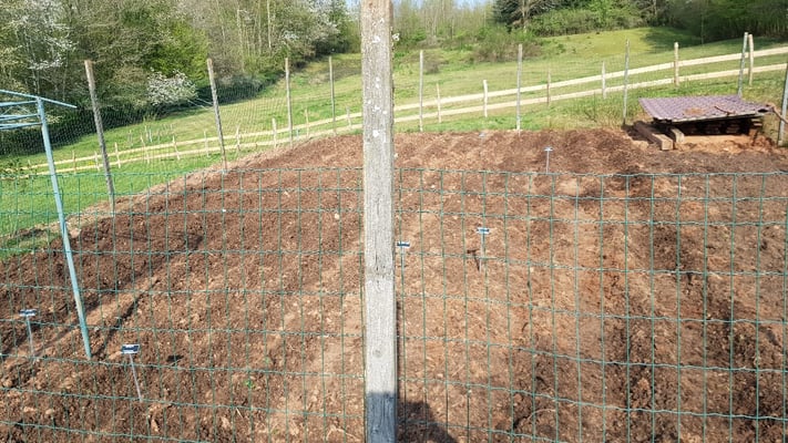 Kartoffelfeld mit diversen Sorten