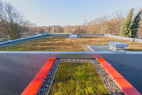 Erweiterung Laborgebäude 51 in Modulbauweise, DLR in Köln, begrüntes Dach