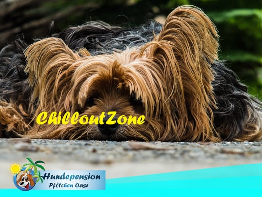 ChilloutZone - Schlafstätte