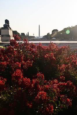 Washington DC - The Mall