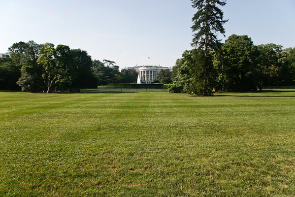 Washington DC - White House