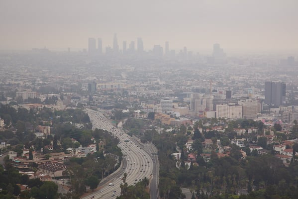 LA in the Mist