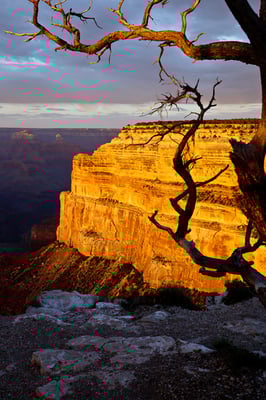 Grand Canyon