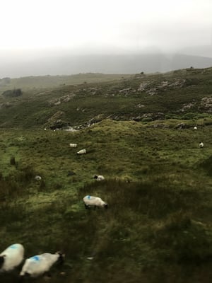 Leenane - Bunowen (Connemara)