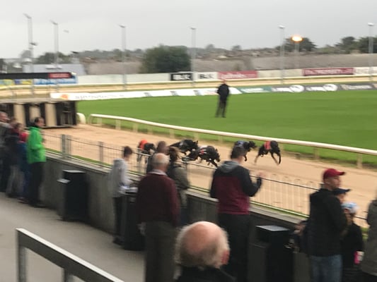 Galway - Greyhound Stadium