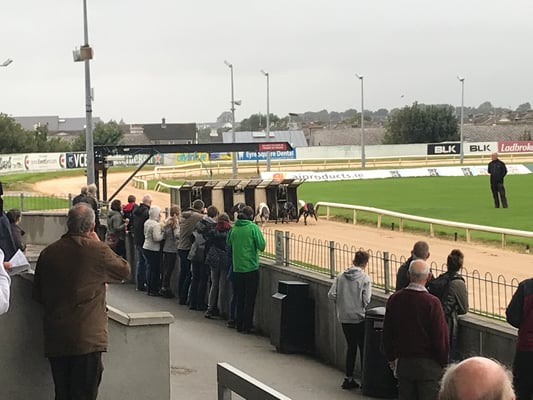 Galway - Greyhound Stadium