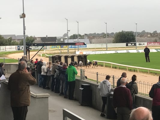Galway - Greyhound Stadium