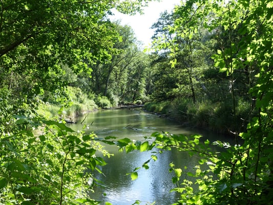 Foto: R. Wittmann -Donau-Auen