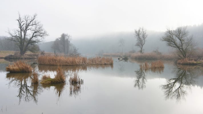 Foto: R. Wittmann -Donau-Auen