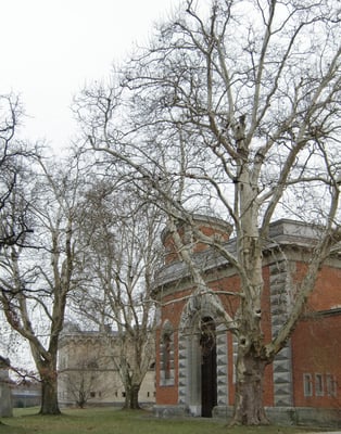 Platanen am Reduit Tilly