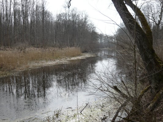 Foto: R. Wittmann -Donau-Auen
