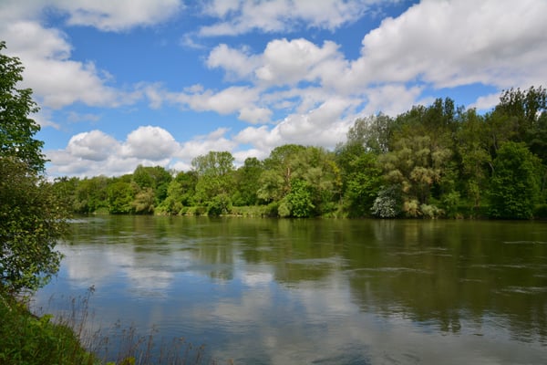 Foto: R. Wittmann -Donau-Auen