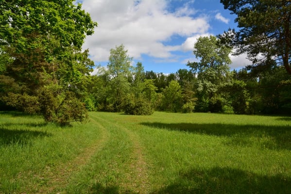 Ziegelschüttbrenne im Auenwalf