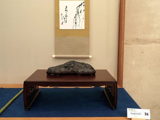S8 - Sengen Ishi (Giappone) - Amatori Bonsai e Suiseki Genova