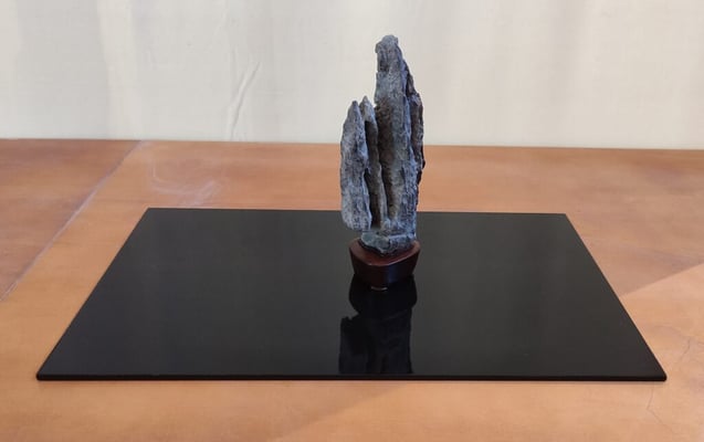 S11. Ying de (Cina) - Amatori Bonsai e Suiseki Genova