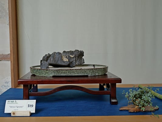 S19 - Isola (Italia) - Associazione Bonsai Il Moro