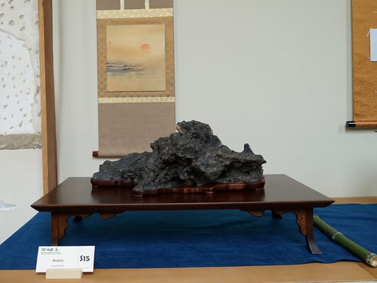 S15 - Araiso (Lombardia) - Ass. Arte e Cultura Bergamo Bonsai