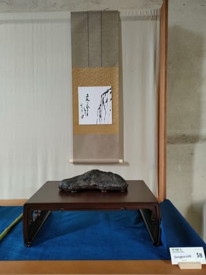 S8 - Sengen Ishi (Giappone) - Amatori Bonsai e Suiseki Genova