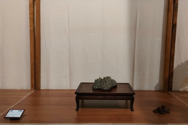 S16. Pietra paesaggio - Bonsai Club Settelaghi Varese