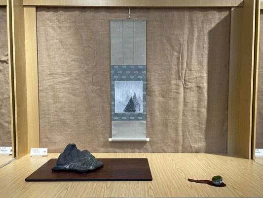 S2 - Verso la cima (Italia - Liguria) - Bonsai Blu