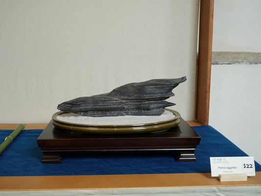 S22 - Pietra oggetto (Lombardia) - Brianza Bonsai