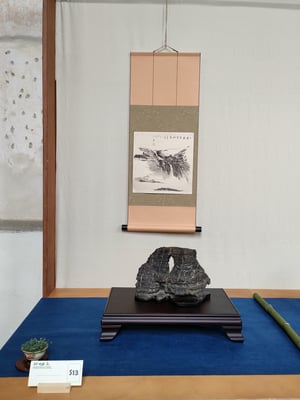 S13 - Scuola Suiseki do Groane