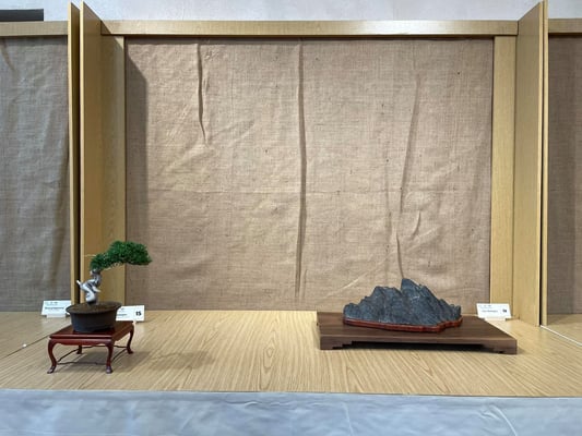 S6 - Isola-Montagna - Bonsai Club Alessandria